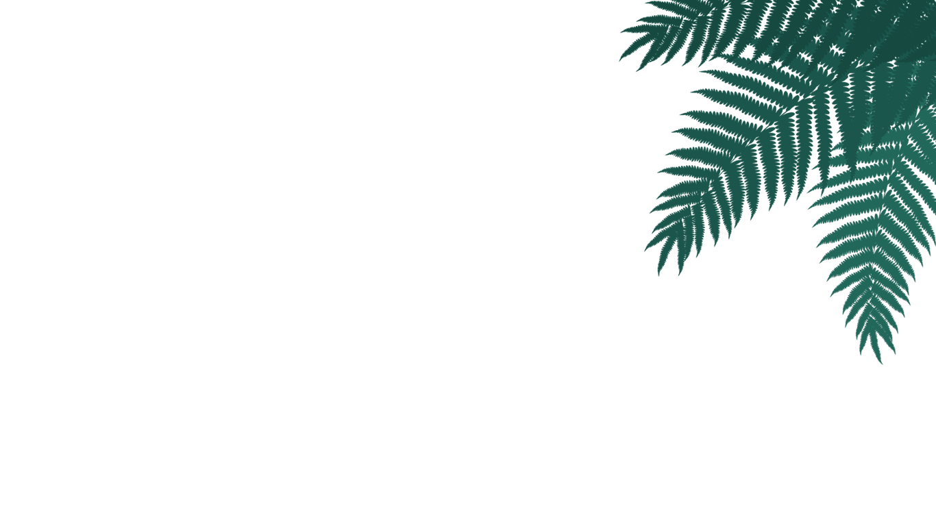large foreground fern leaf